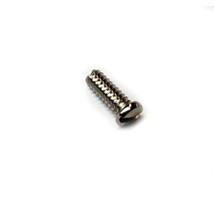 Hinge Screw