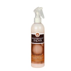 Scentamint Spa Cinnamon Spice - 8 Oz