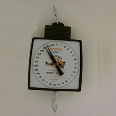 Scales