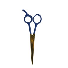 Scissors & Acc.