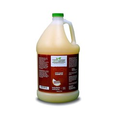 Orange Ginger Aromatherapy Shampoo 1 Gal