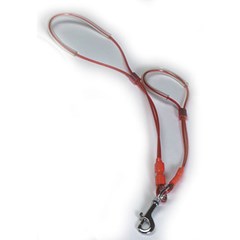 No Sit Grooming Noose - Large