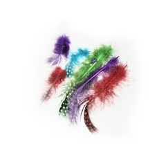 Assorted Feathers - Guinea - 100 Pcs
