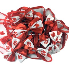 Canada Day Bowtie -Adj. - 50 Pck