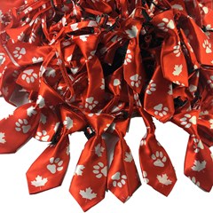 Canada Day Small Necktie -Adj. - 25 Pck