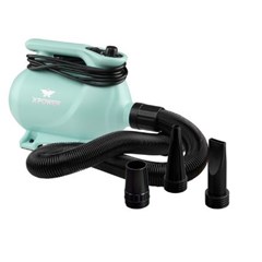 X Power B-123 Force Dryer - Mint Green