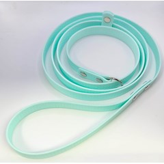 Xylo 5 ft Slip Lead