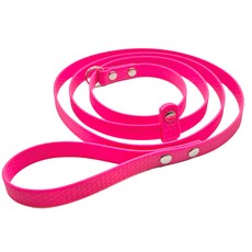 Leads, Collars & Muzzles